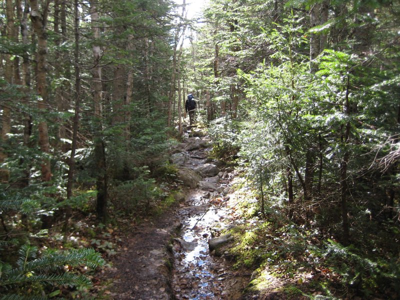 IMG_2593.JPG - The next day we packed up and headed down the Isolation trail. Unfortunately the trail was very wet and muddy.