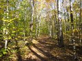 IMG_2539