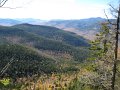 IMG_2544