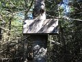 IMG_2552