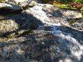 IMG_2557