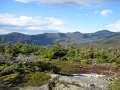 IMG_2567