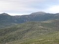 IMG_2579
