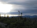 IMG_2582