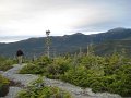 IMG_2590