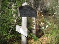 IMG_2594