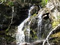 IMG_2597