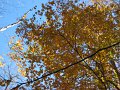 IMG_2606