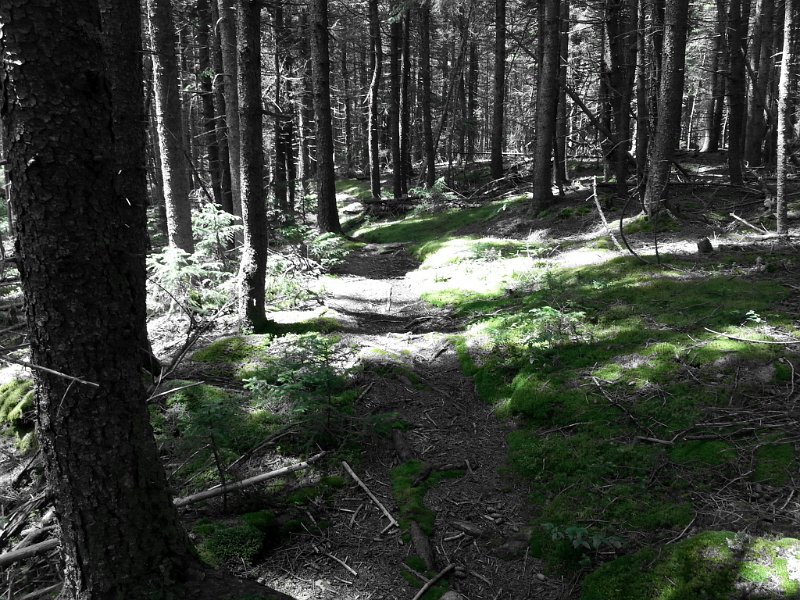 20130712_125356.jpg - Another different camera setting.