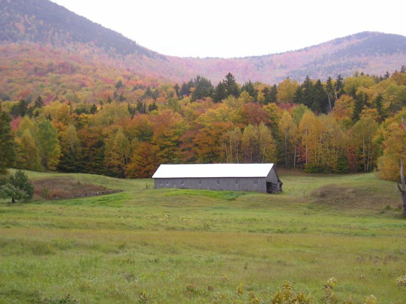 Hibbard.JPG - The loop over Mt. Wonalancet and Mt. Hibbard starts in the same parking lot on Ferncroft Rd. as the trails to Whiteface and Passaconaway.