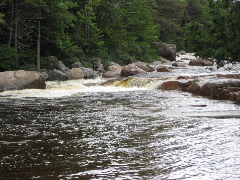 PemiHike-D.JPG - The usually calm waters of the Pemi were a torrent from all the rain.
