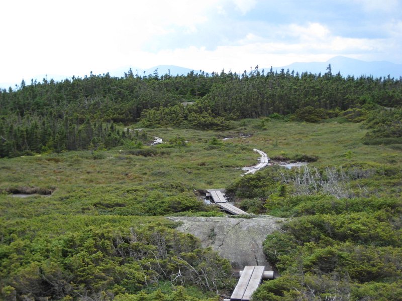 IMG_2294.JPG - We decided to follow the trail another 1/4 mile to find a herd path to an old airplane wreck. Unfortunately, this turned out to be a bad decision.