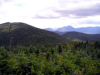 The view from Mt. Tom