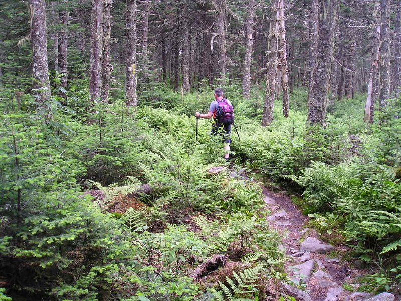 P7170011.JPG - Back on the trail we crossed the ridge to the summit of Waumbek.