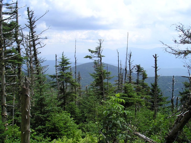 P7170014.JPG - Just beyond the summit is a clearing with a view. Unfortunately on this humid, hazy day we didn't have much of a view.