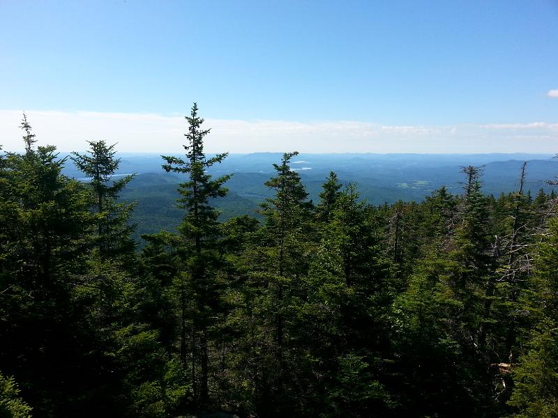 20140711_094539.jpg - phone camera shot.