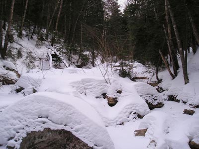 Frozen stream on Mt. Tecumseh
