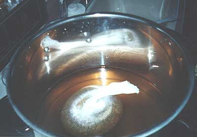 Steeping the grains