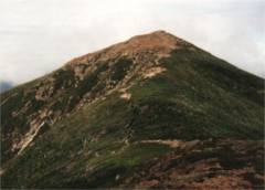view of Mt. Lincoln from the ridge