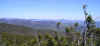 NancyView1.jpg (44584 bytes)