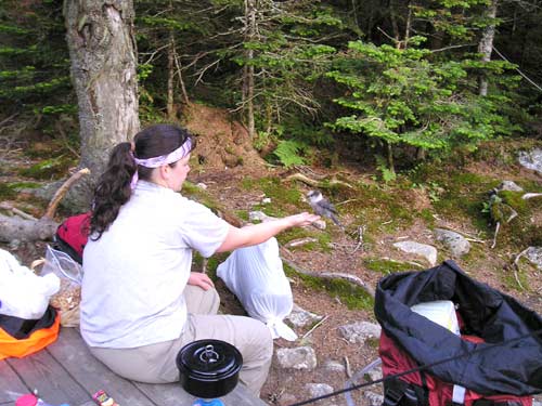 Danielle and a gray jay