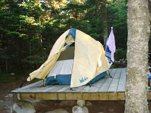 Avery Peak tent site