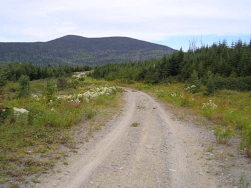 Caribou Valley Road