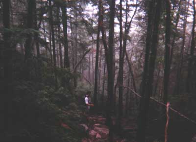 On the trail