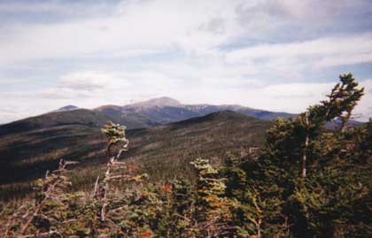 Looking towards Mt. Jackson from Mt. Webster