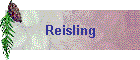 Reisling