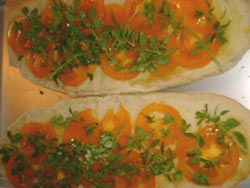 Tomato's and basil